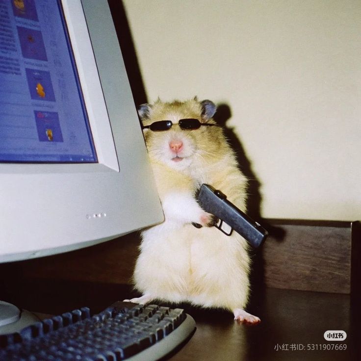 cuidando el curso 